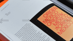 demo-attachment-112-Rectangle-101