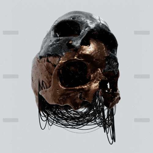 demo-attachment-151-Rectangle-111