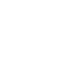 demo-attachment-977-Vector-1